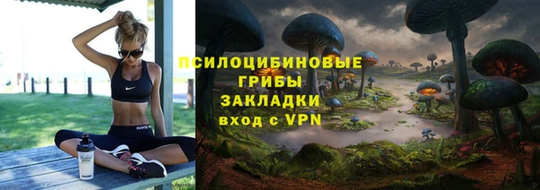 трава Медногорск