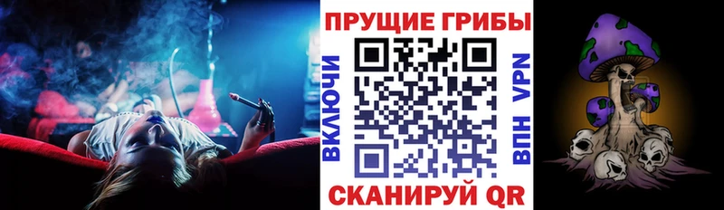 Галлюциногенные грибы мицелий  Рыбное 